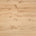 Pale Oak