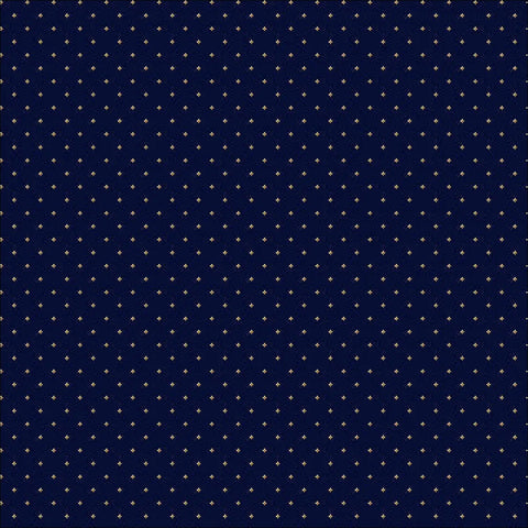 Blue/Gold