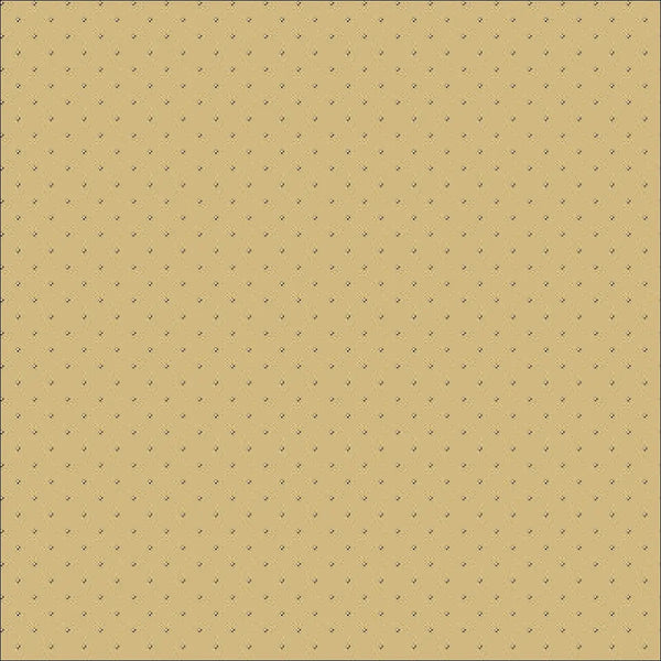 Light/Dark Beige