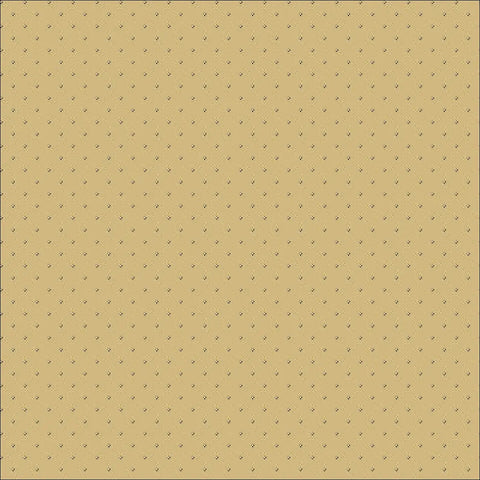 Light/Dark Beige