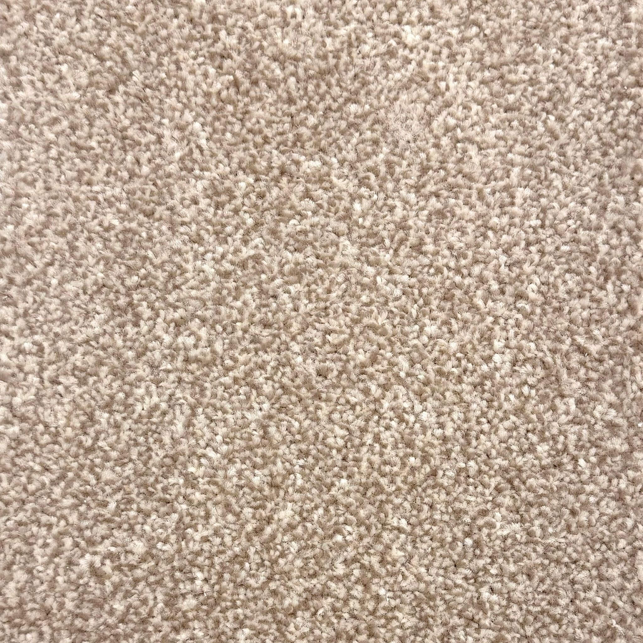 Barley