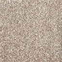 Taupe Swatch