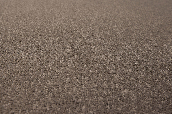 Ash Grey