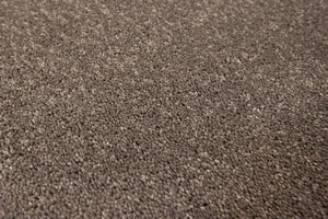 Ash Grey