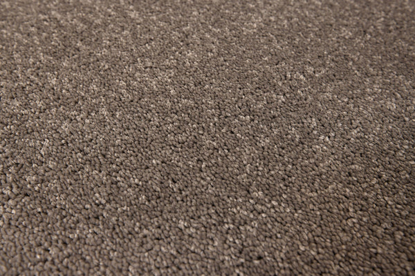 Ash Grey