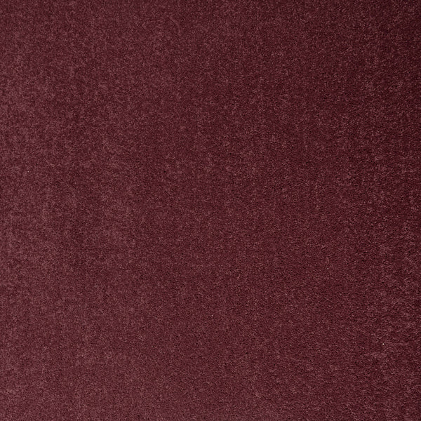 Aubergine