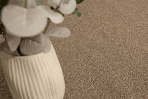 Polished Pebble