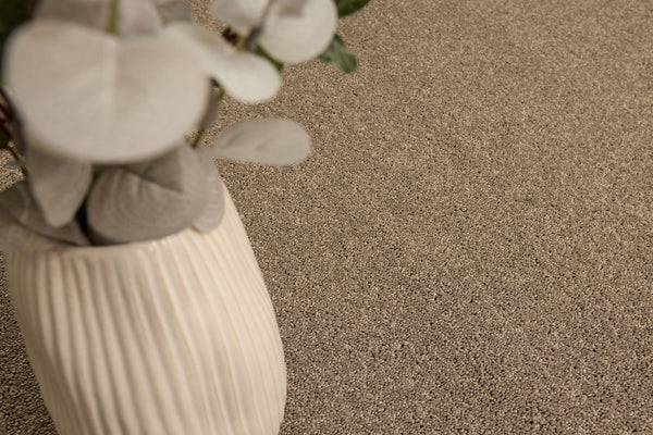 Polished Pebble
