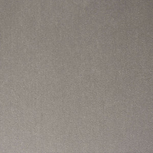 Dove Grey