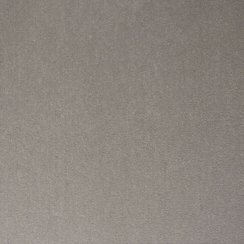 Dove Grey