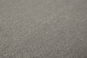 Dove Grey