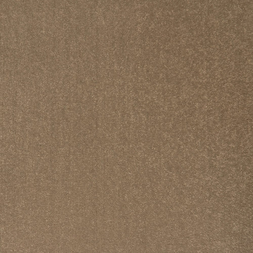 Dusty Path