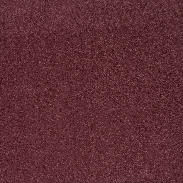 Aubergine