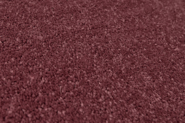 Aubergine
