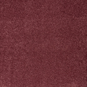 Aubergine