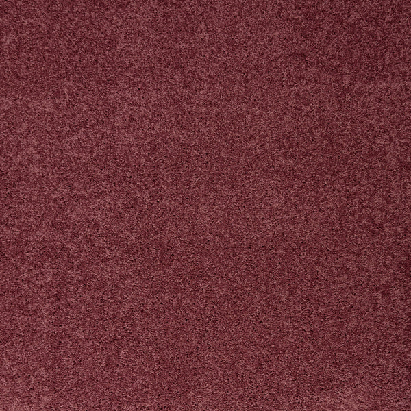 Aubergine
