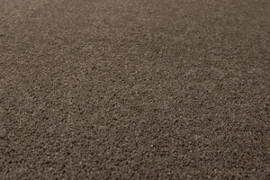 Ash Grey