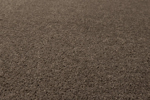 Ash Grey
