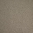 Hazelnut Swatch