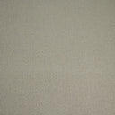 Snow Swatch