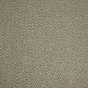 Sea Shell