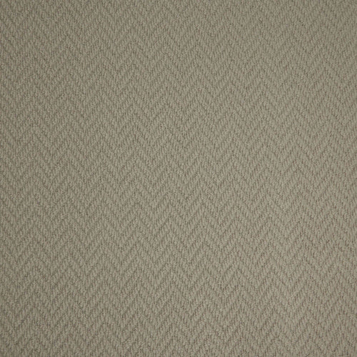 Sea Shell