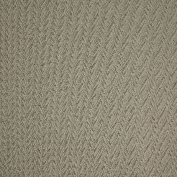 Sea Shell