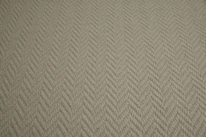 Sea Shell