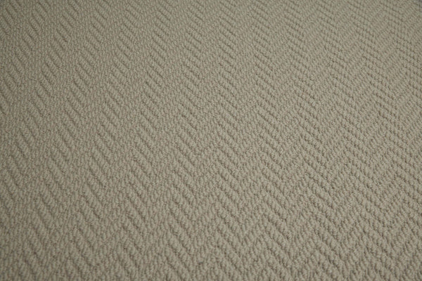 Sea Shell