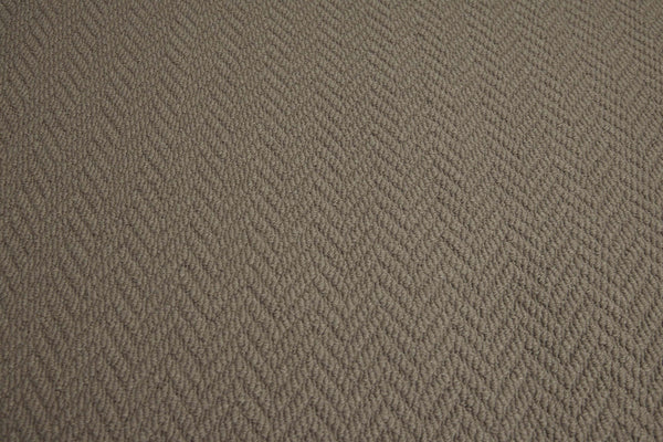 Terra
