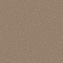 Barley Swatch
