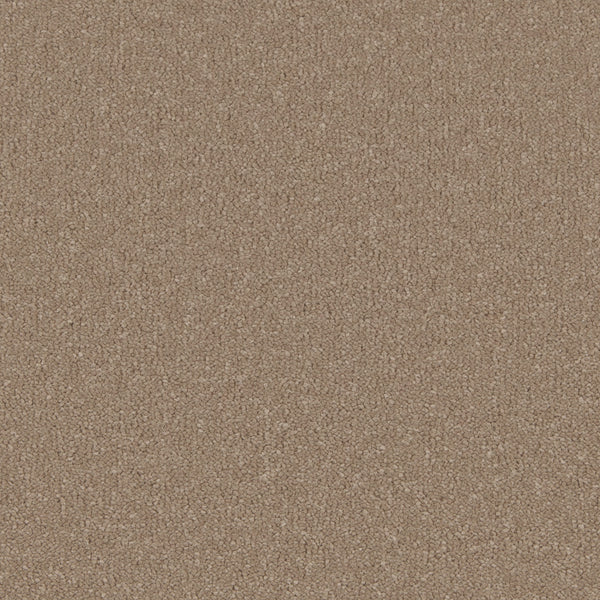 Barley