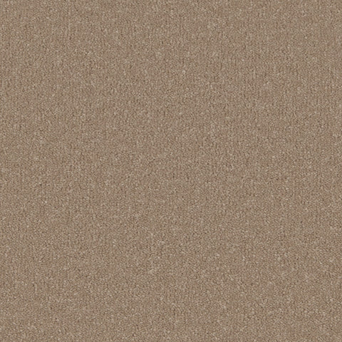 Barley