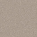 Cashmere Swatch