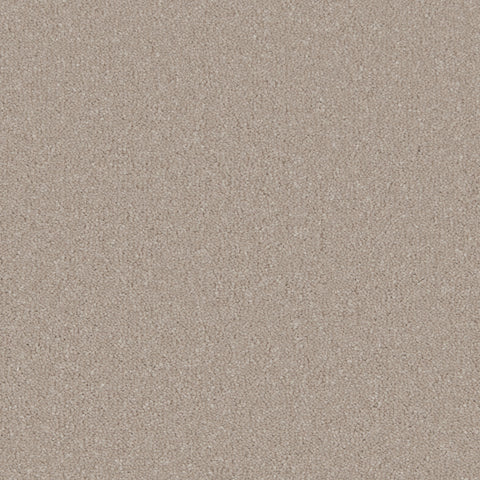 Cashmere
