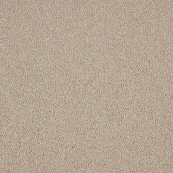 Cotton