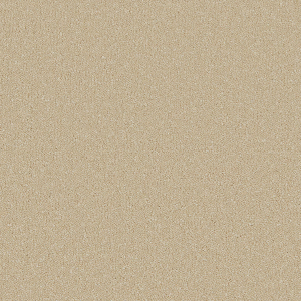 Sand