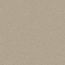 Soft Beige Swatch