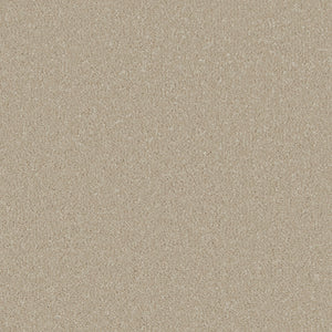 Soft Beige