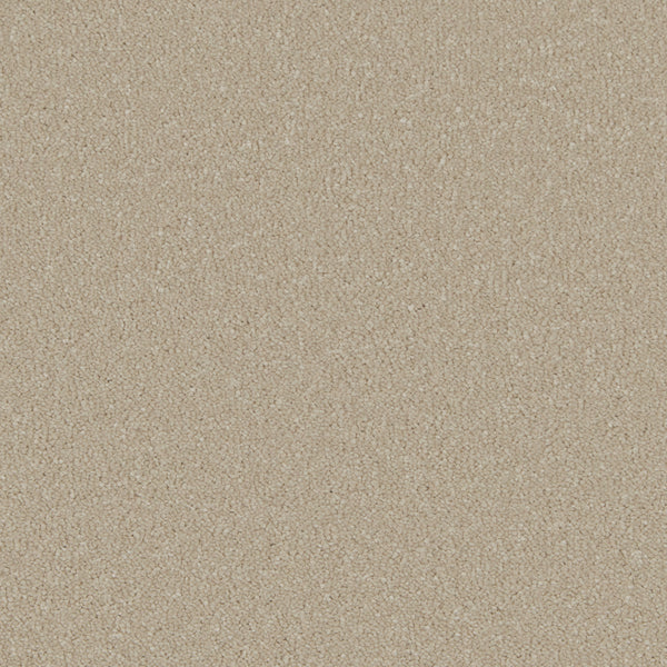 Soft Beige