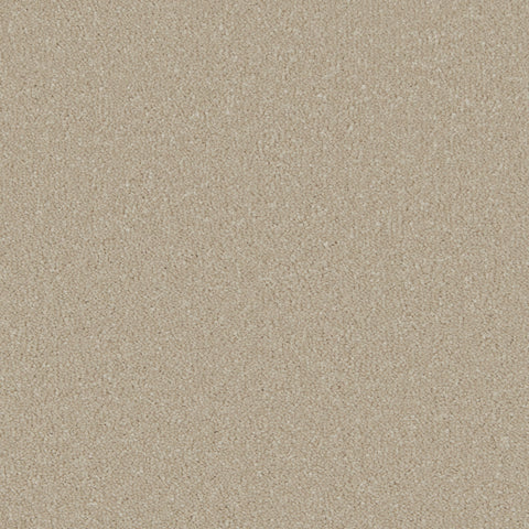 Soft Beige