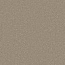 Warm Grey Swatch