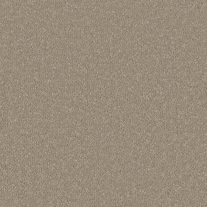 Warm Grey