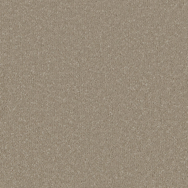 Warm Grey