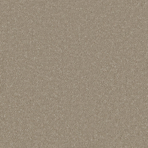 Warm Grey
