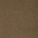 Mocha Swatch