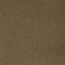 Mocha Swatch