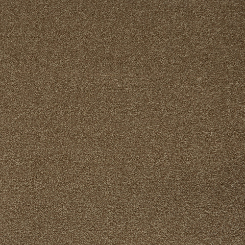 Mocha