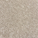 Barley Swatch