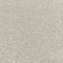 Greige Swatch